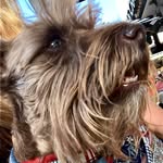 Duncan Walker - @hunkydunky2015 - Instagram