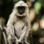 Duncan Walker - @duncan.walker.102 - Instagram