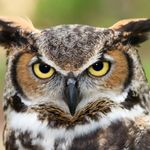 Duncan Walker - @_punny_man_ - Instagram