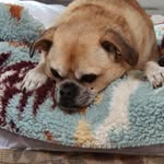 Duncan Wallace - @duncan.wallace.65 - Instagram