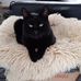 Duncan Wallace - Facebook