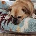 Duncan Wallace - Facebook