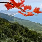 Duncan Whitcombe - @duncanwhitcombe - Instagram