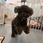 Duo Duo Wang - @duowang828 - Instagram