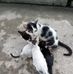 Duong Ly - Facebook