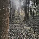 Duran Williams - @spa.rky1728 - Instagram