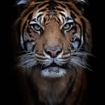 Durrell Jackson - @durrell.jackson.90475 - Instagram