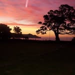 Durrell Williams - @durrellrumrunner - Instagram
