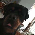 Dustin Alexander - @dustinalexander2905 - Instagram