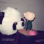 apple_dustin - @apple_dustin2 - Instagram