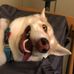 Dustin Babb - Facebook