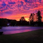Dustin Bean - @bustin_dean - Instagram
