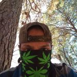 Dustin Bean - @dustin.bean.902 - Instagram