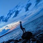 Dustin Bird - @dbird091 - Instagram