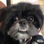 Dustin Boothe - @brewfrog - Instagram