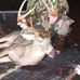 Dustin Patton - Facebook