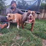 Dustin John Cabral - @peekabookennels - Instagram