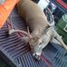 Dustin Caplinger - Facebook