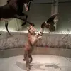 Dustin Cartwright - @dustin.cartwright7 - TikTok
