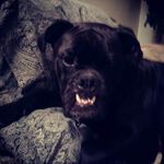 Dustin Christopherson - @christophersondustin - Instagram