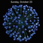 Dustin Bryan Clegg - @cleggdustinbryan - Instagram