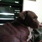 jobear - @dustincomer04 - Instagram