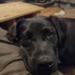Dustin Conrad - @dust.y162 - Instagram