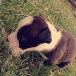 Dustin Coy - @coy.dustin - Instagram