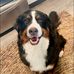 Dustin Coyle - Facebook