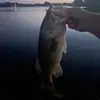 dustindamron477 - @dustindamron477 - TikTok