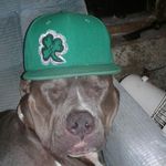Dustin Danner - @dustin_danner - Instagram