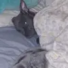 Dustin W Danner - @dustin.w.danner - TikTok