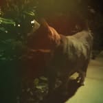 Dustindark - @dustindark0009 - Instagram