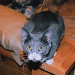 Dustin Denton - @tx_cha0s - Instagram