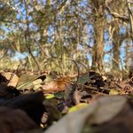 JDustin Denton - @jdustindenton - Instagram