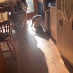 Dustin.devorejr - @dustin.devorejr2 - Instagram