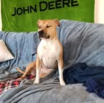 Dustin DeWitt - Facebook