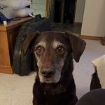 Dustin Dodds - @djdodds202018 - Instagram