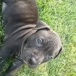 Dustin Dodge - @dustin.dodge.71 - Instagram