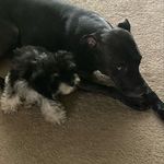 Dustin Dodge - @dustindodge - Instagram