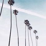 Dustin - @dustin.dodgen - Instagram