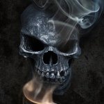 Dustin Eddy - @dustin200000000 - Instagram