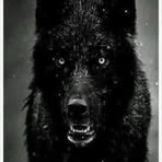 Dustin Everett - Facebook