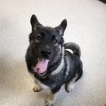 Dustin N. Everett - @dneverett18 - Instagram