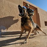 Dustin Farley - @dustinfarley4 - Instagram