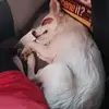 Dustin Fields - @dustin.fields39 - TikTok