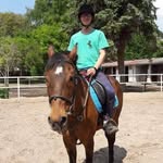 Dustin ForestHorse - @dustinforesthorse - Instagram