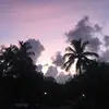 Dustin Fuller - @dustin.fuller86 - TikTok