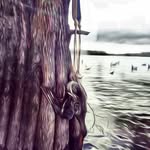 Dustin Guy - @dux_guy_ - Instagram