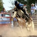 Dustin Hamby - @hambydusty - Instagram